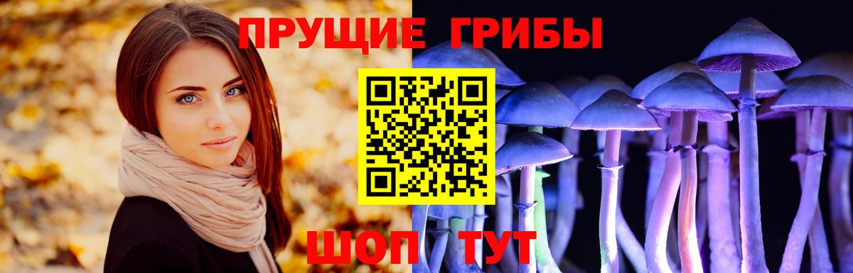 Котлас  Галлюциногенные грибы MAGIC MUSHROOMS  Вход с VPN  Псилоцибиновые грибы GOLDEN TEACHER 