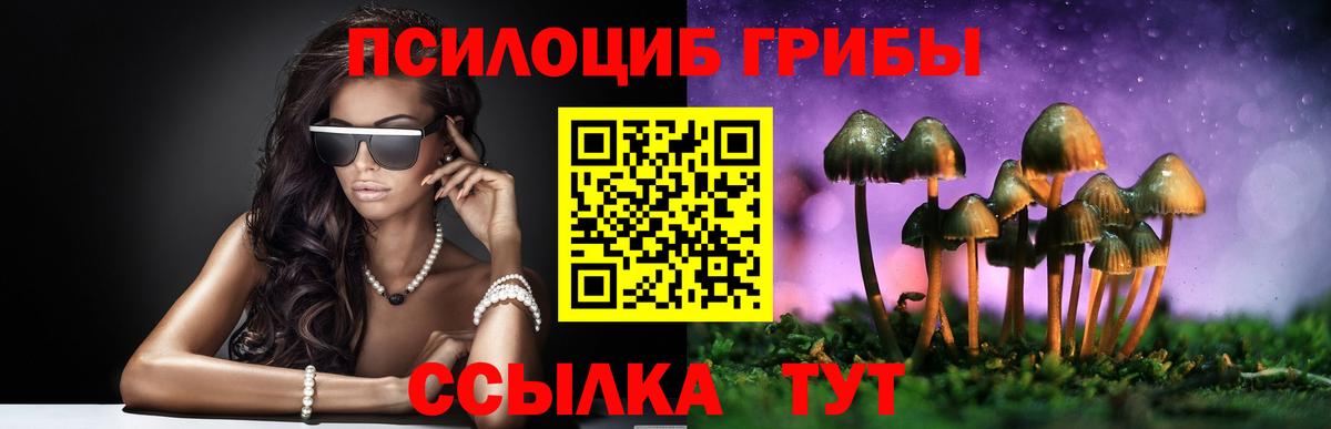 Галлюциногенные грибы MAGIC MUSHROOMS Котлас